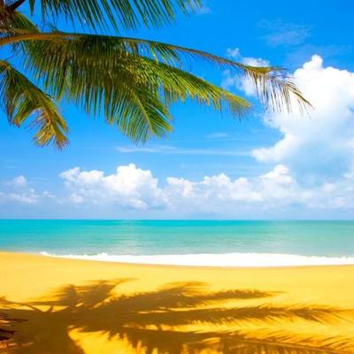 Timeline: На пути к лету