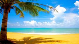 Timeline: На пути к лету