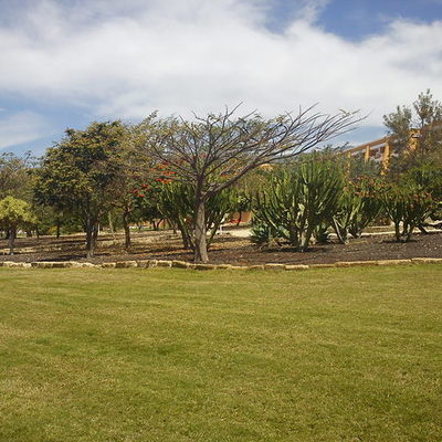 Timeline: Litteratur historisk tidslinje