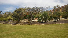 Timeline: Litteratur historisk tidslinje