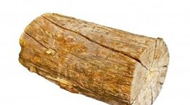 Timeline: Vincent Li - French Revolution