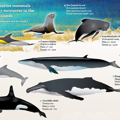 Timeline: Marine Mammal Protection Acts