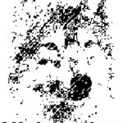 Timeline: Webmusher Design