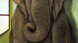 Timeline: ClimateMiles_TW_ProjectSunshine