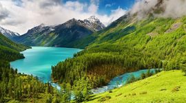 Timeline: Environmental History