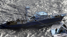 Timeline: Alacranaren baiketa