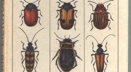 Timeline: Vabalų istorija