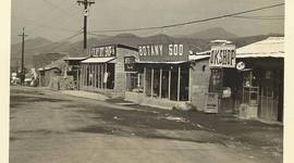 Timeline: SongSan - AKA The Ville