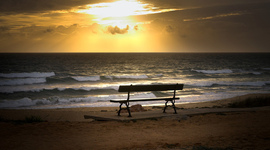 Timeline: Michal Teachers's