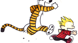 Timeline: Calvin