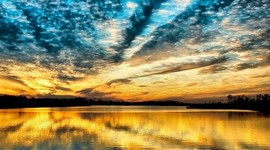 Timeline: Jessica Flynn's Life