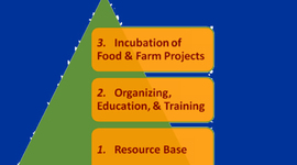 Timeline: SCI Application