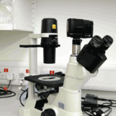 Timeline: microscope Imporvements