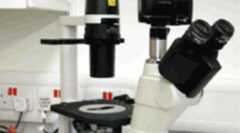 Timeline: microscope Imporvements