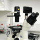 Inverted tc miccroscope