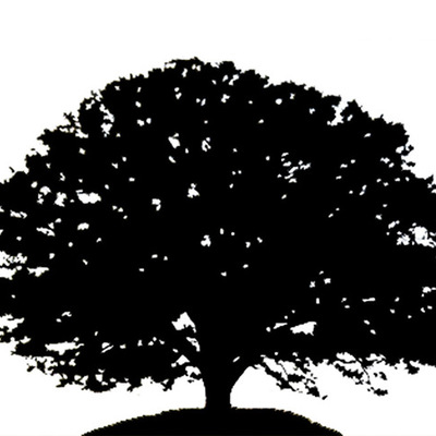 Timeline: My Place In History