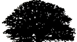 Timeline: My Place In History