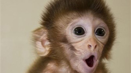 Timeline: Foreign Policy Events