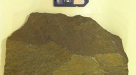 Timeline: Michael Schultz's  TECHNOLOGY TIMELINE