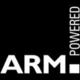Arm