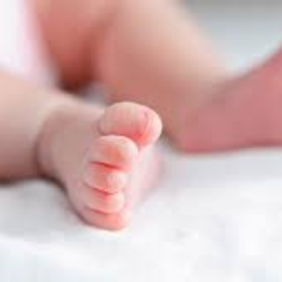 Timeline: Dan's Timeline