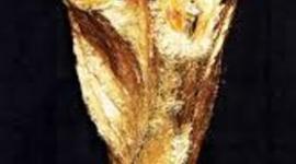 Timeline: The history of the world cup.