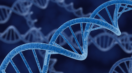 Timeline: The Discovery of DNA