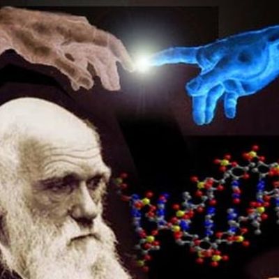 Timeline: The Origin Of Species And The Evolution Of Species