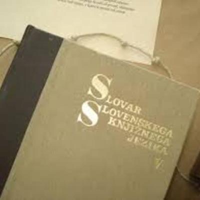 Timeline: Zgodovina slovenskega knjižnega jezila