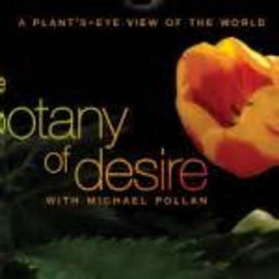 Timeline: Evolution of Desire