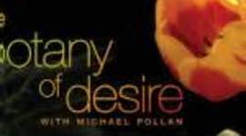 Timeline: Evolution of Desire