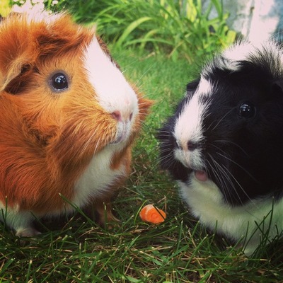 Timeline: Cuento de mi vida