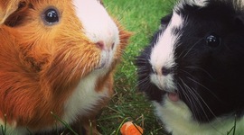 Timeline: Cuento de mi vida