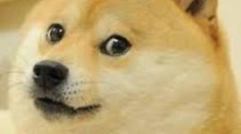 Timeline: Wow much evolution  (Evolución de las Videoconsolas)