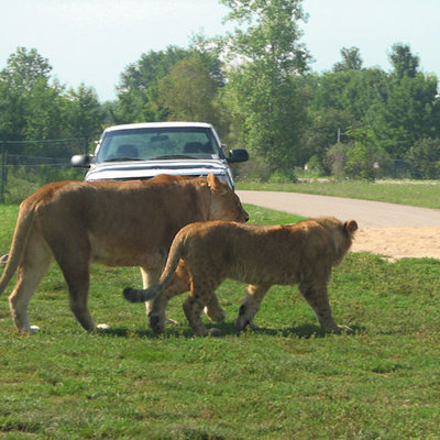 Timeline: Cowles Vs Balc Pre trial Events
