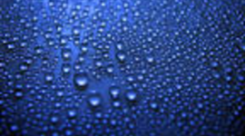 Timeline: World History- Brinley Linton