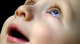 Timeline: Development