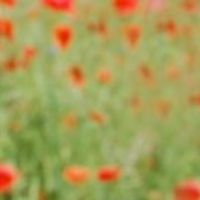 Timeline: World War 1