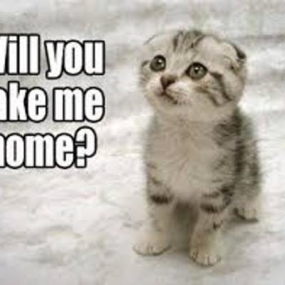 Timeline: A History of U.S. Foreign policy