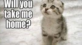 Timeline: A History of U.S. Foreign policy