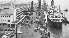 Timeline: Emily's 1960-2010 Timeline