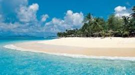 Timeline: Stranded  by Scotti Lindon