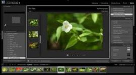 Timeline: Technology Timeline