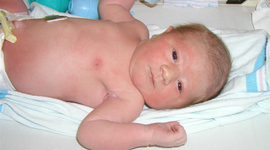 Timeline: My Timeline