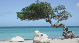 Timeline: Svátky v průběhu roku