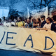 Dpn banner dream