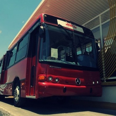 Timeline: La historia del vivebus