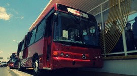 Timeline: La historia del vivebus