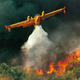 Firefighting thumb 450x345 44684