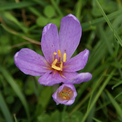 Timeline: Our project